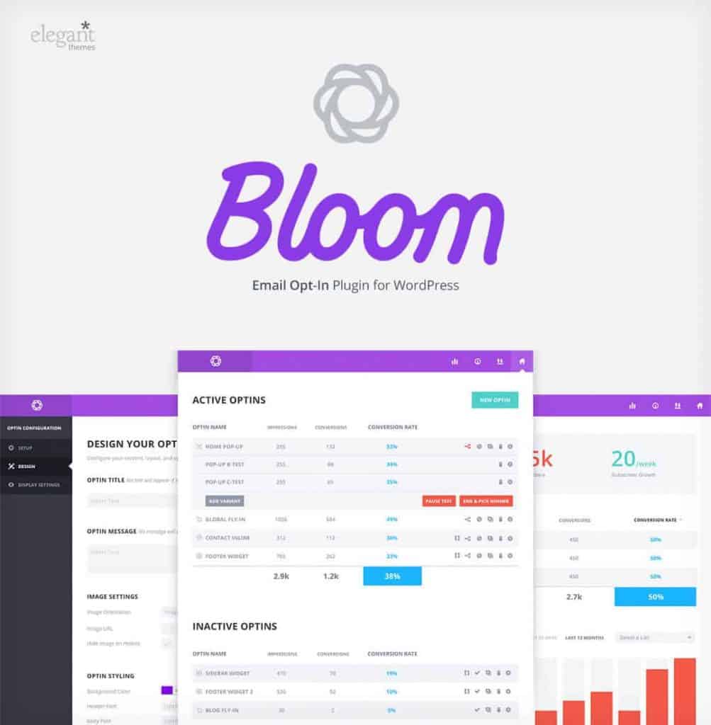 Bloom Bloom