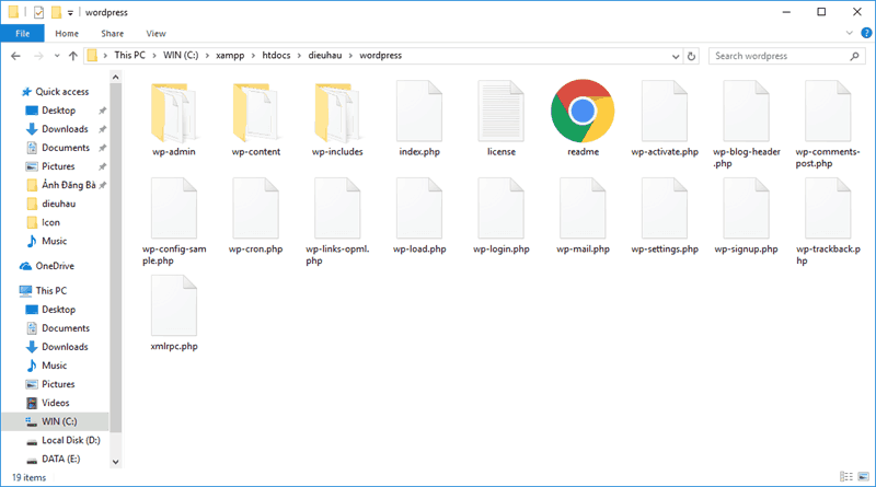 folder-wordpress